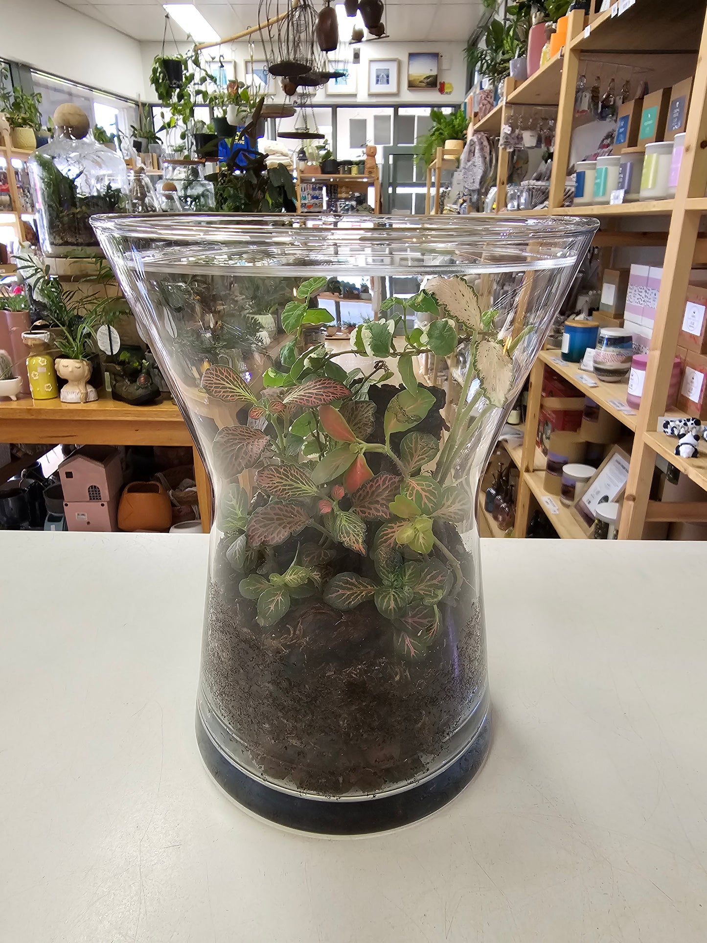 Little Garden World Donated by Leafy Lovers - RRP $89