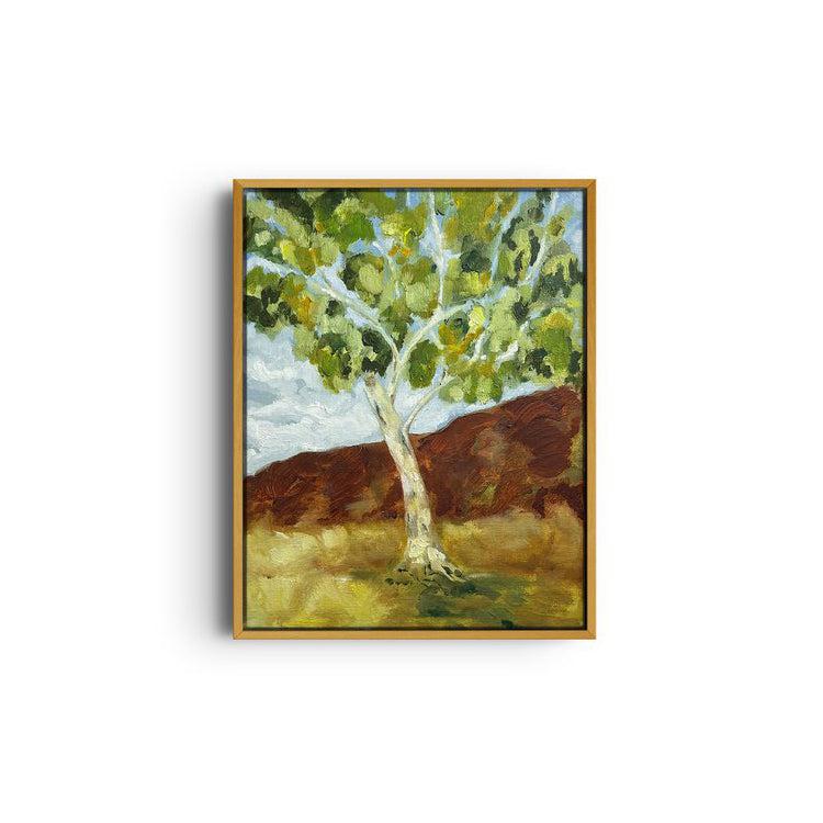 Ghost Gum of Tjoritja