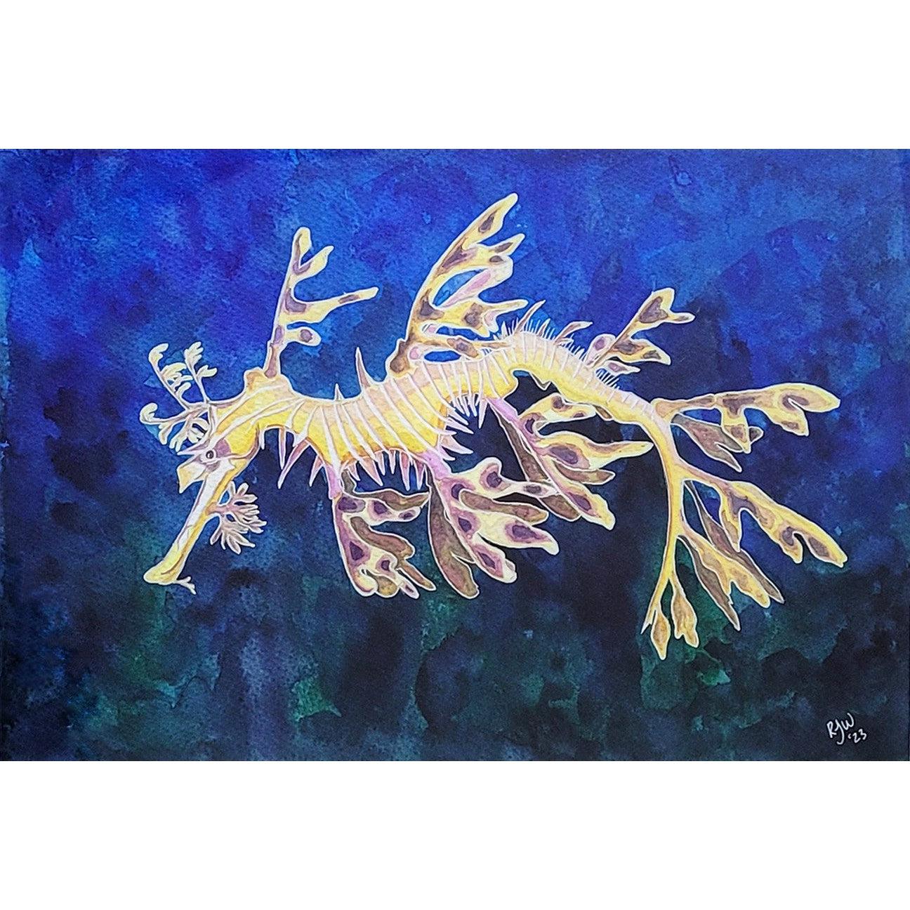 Leafy Sea Dragon
