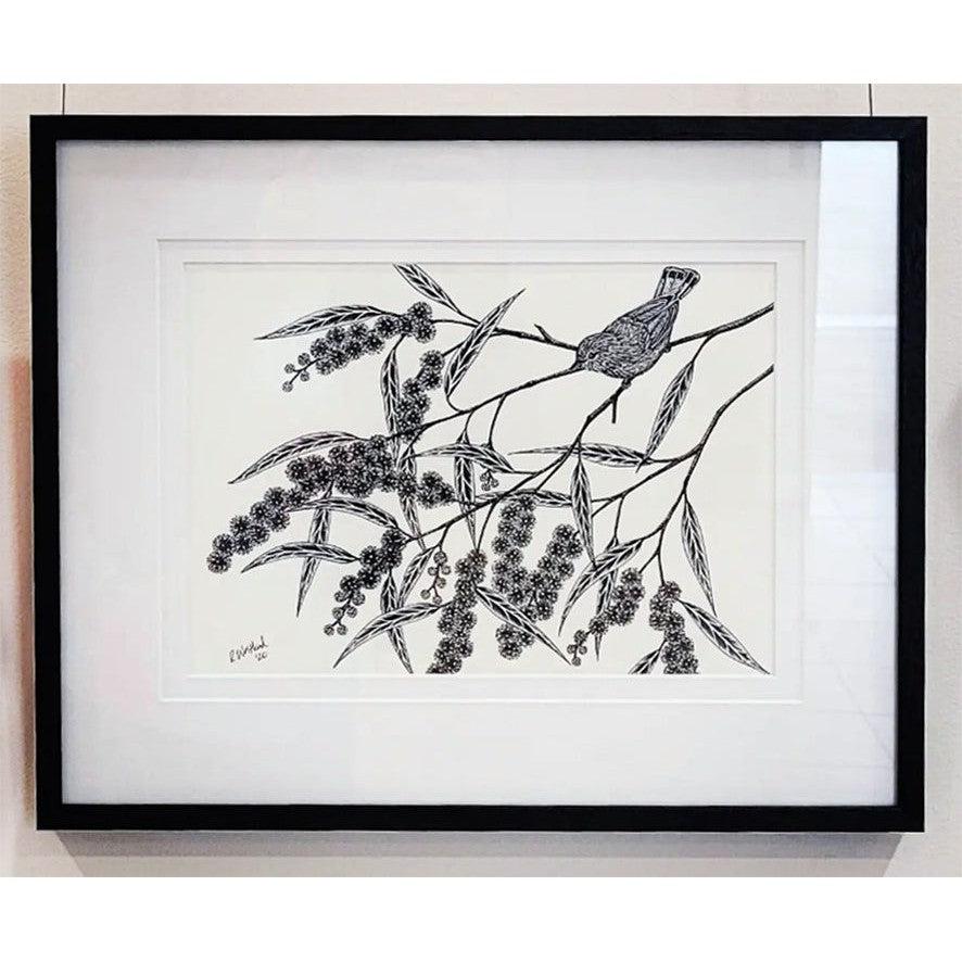 Thornbill in Wattle