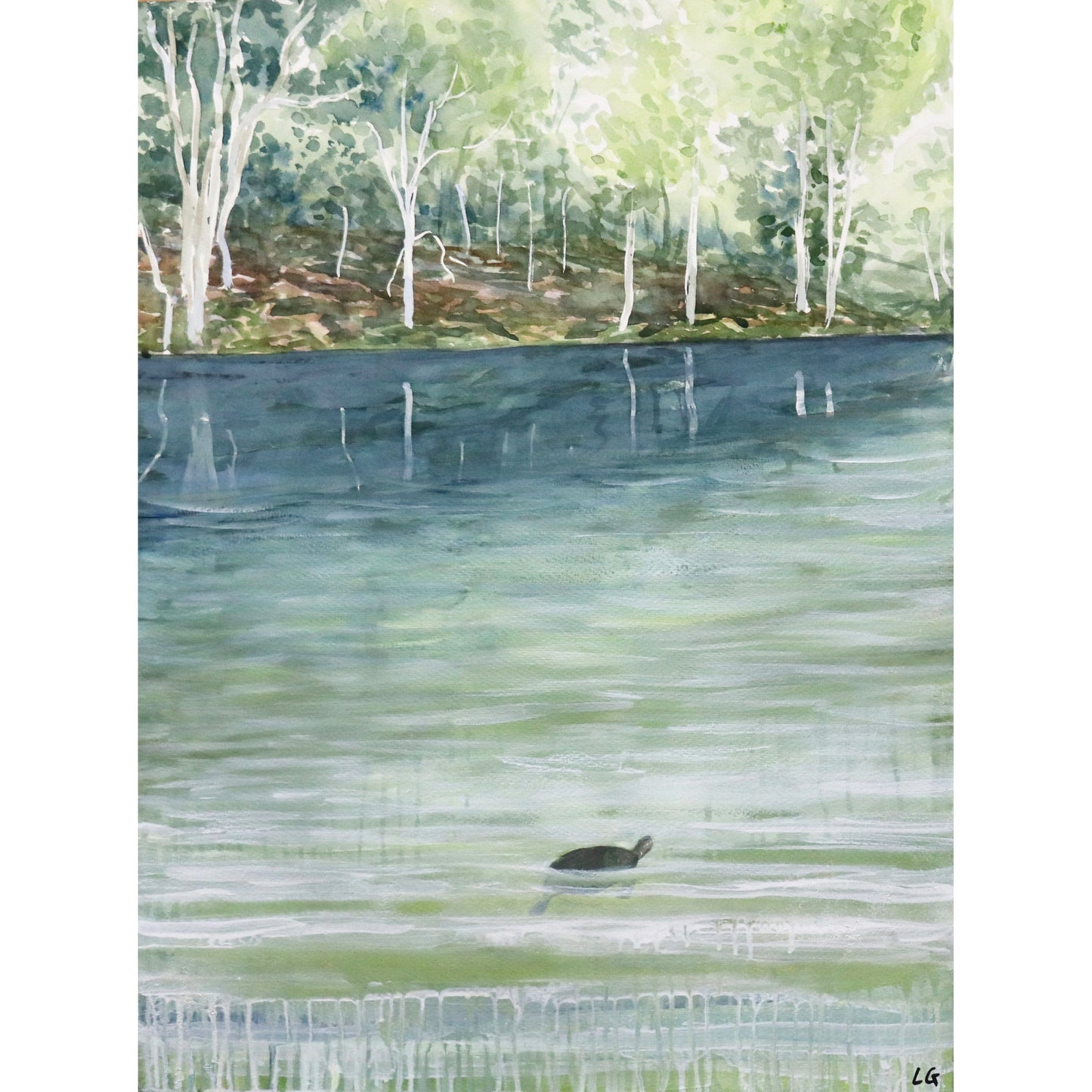 River Turtle