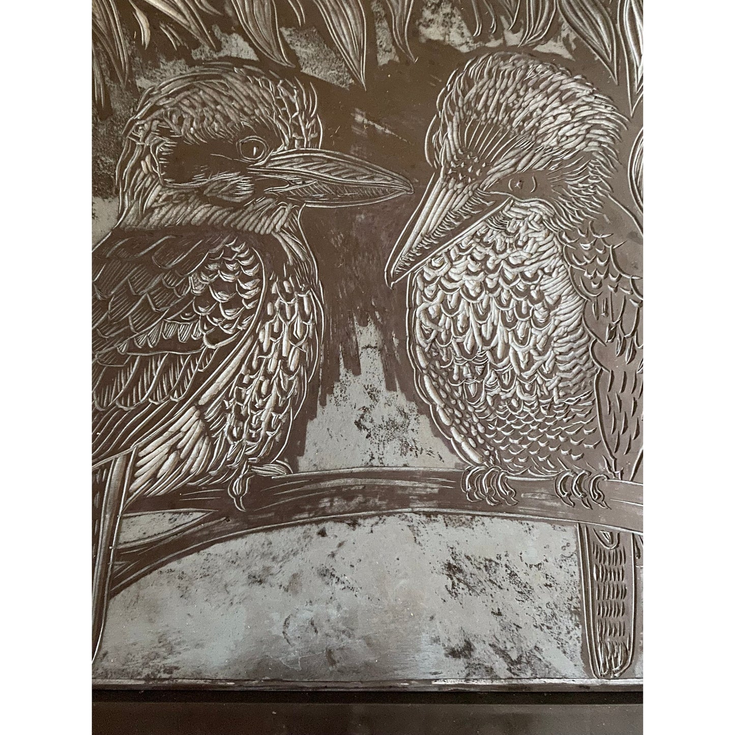 Kookaburra Couple