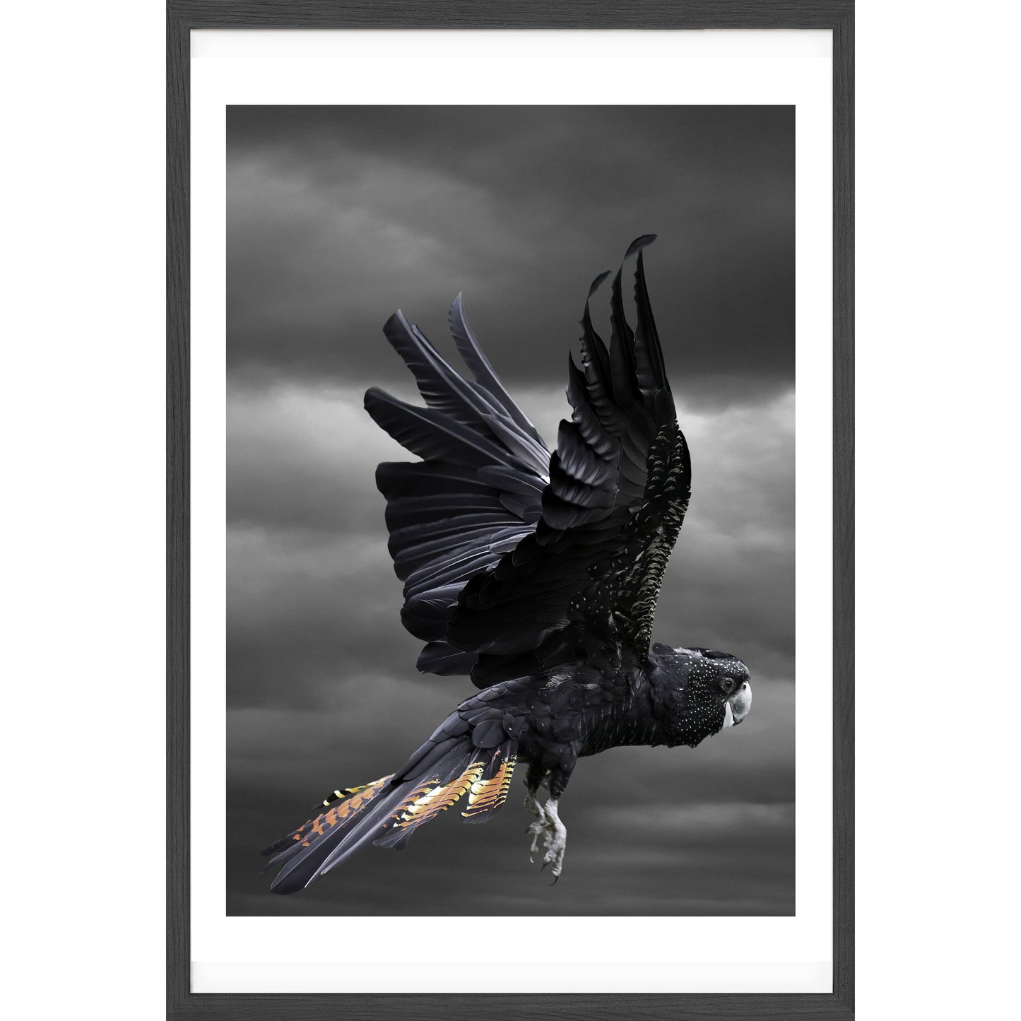 In Flight