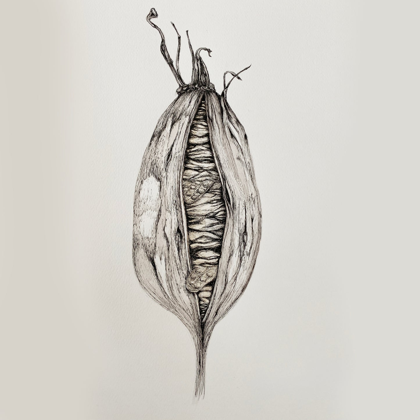 ReBirth Pod