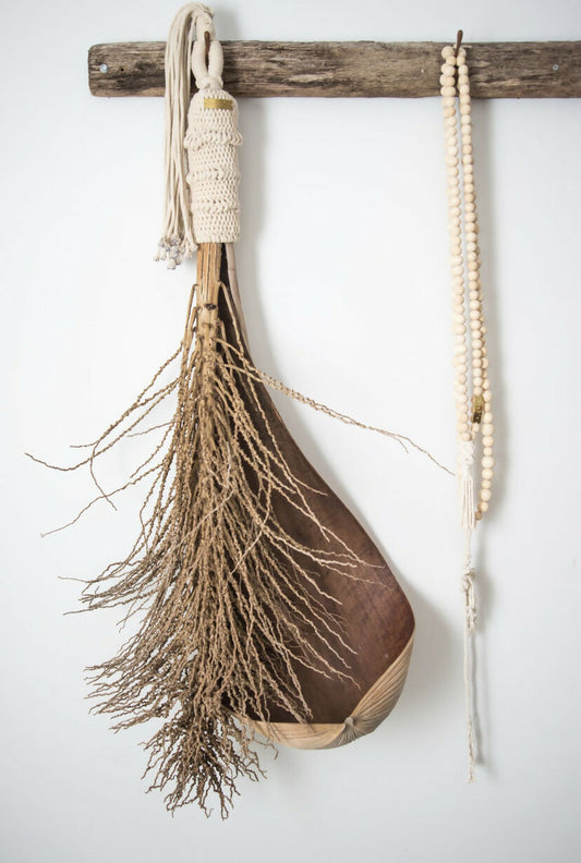 Octavie seed pod and frong wall hanging