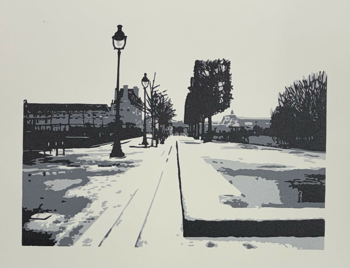 Rain, Hail....or Paris Snow