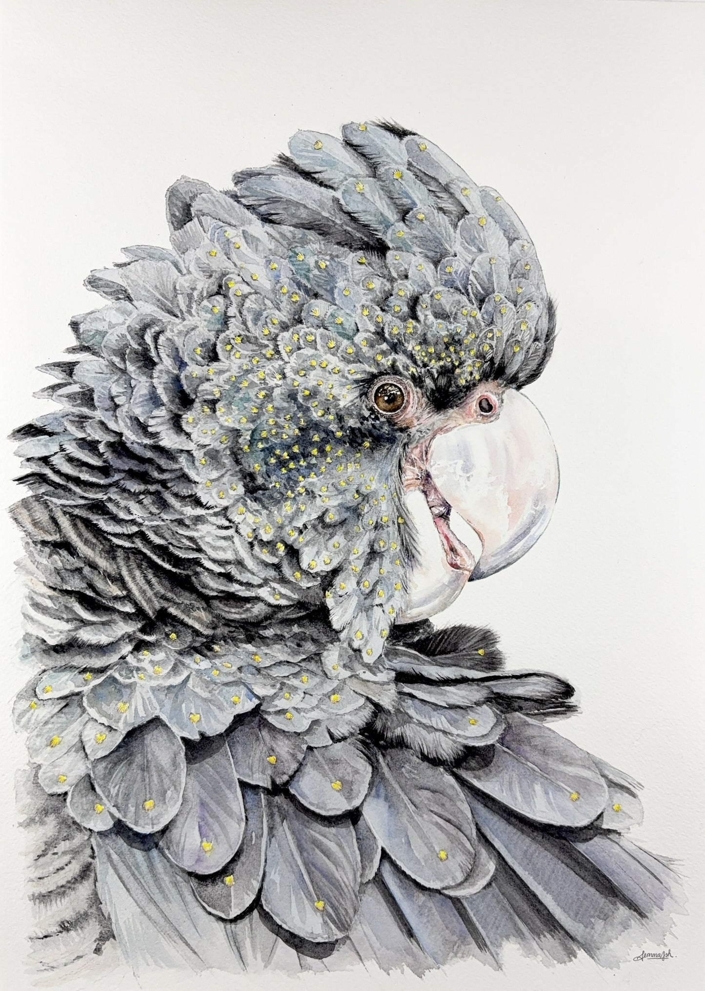 Ruffles