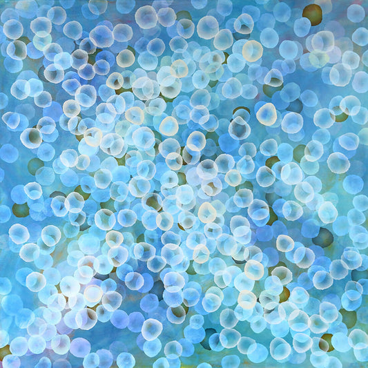 Aqueous Field VII