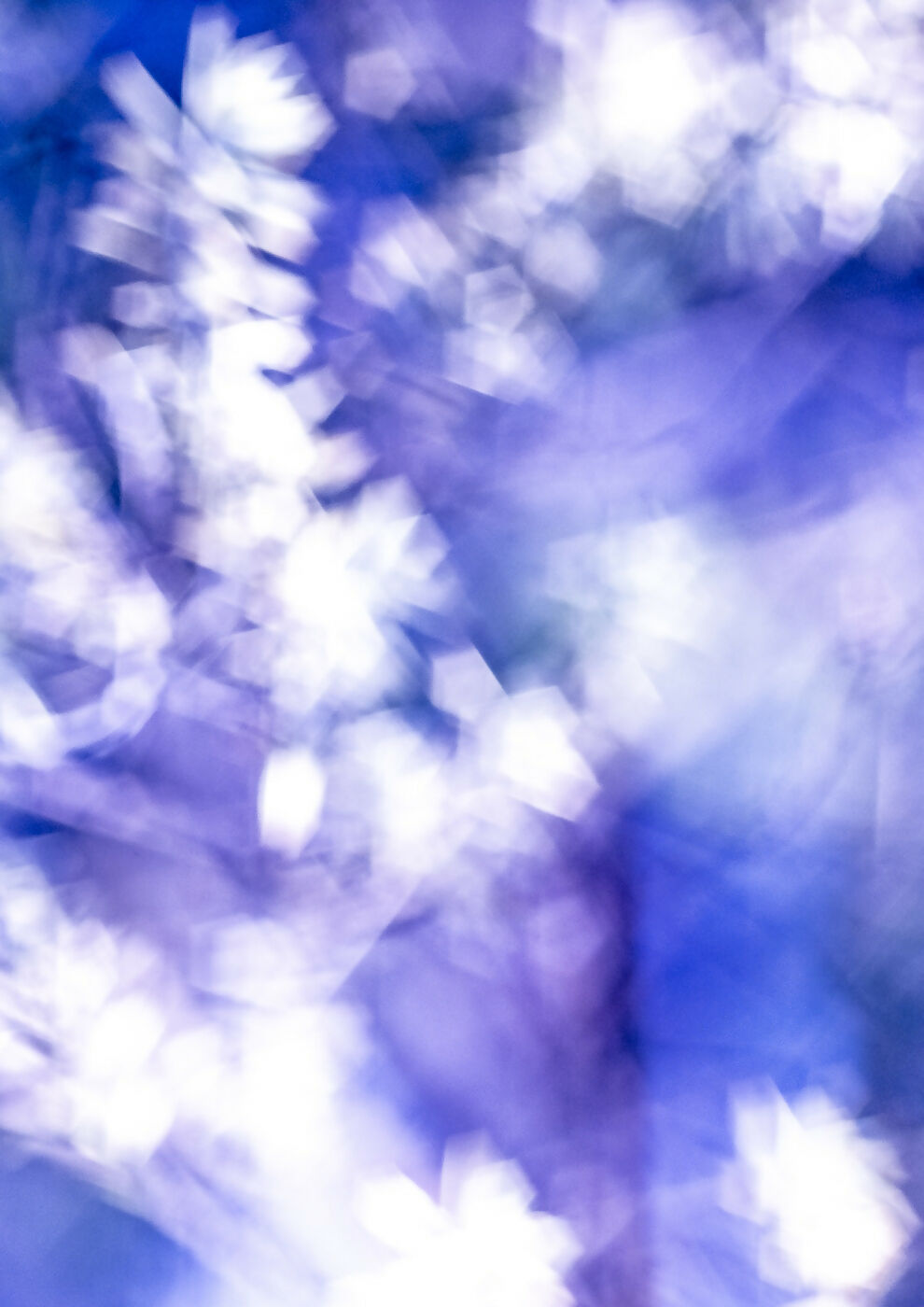 Product Image-1