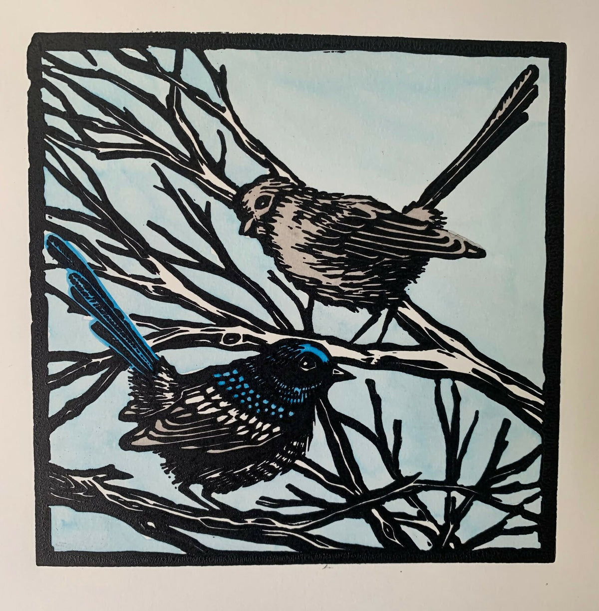 Busy Blue Wrens Linocut