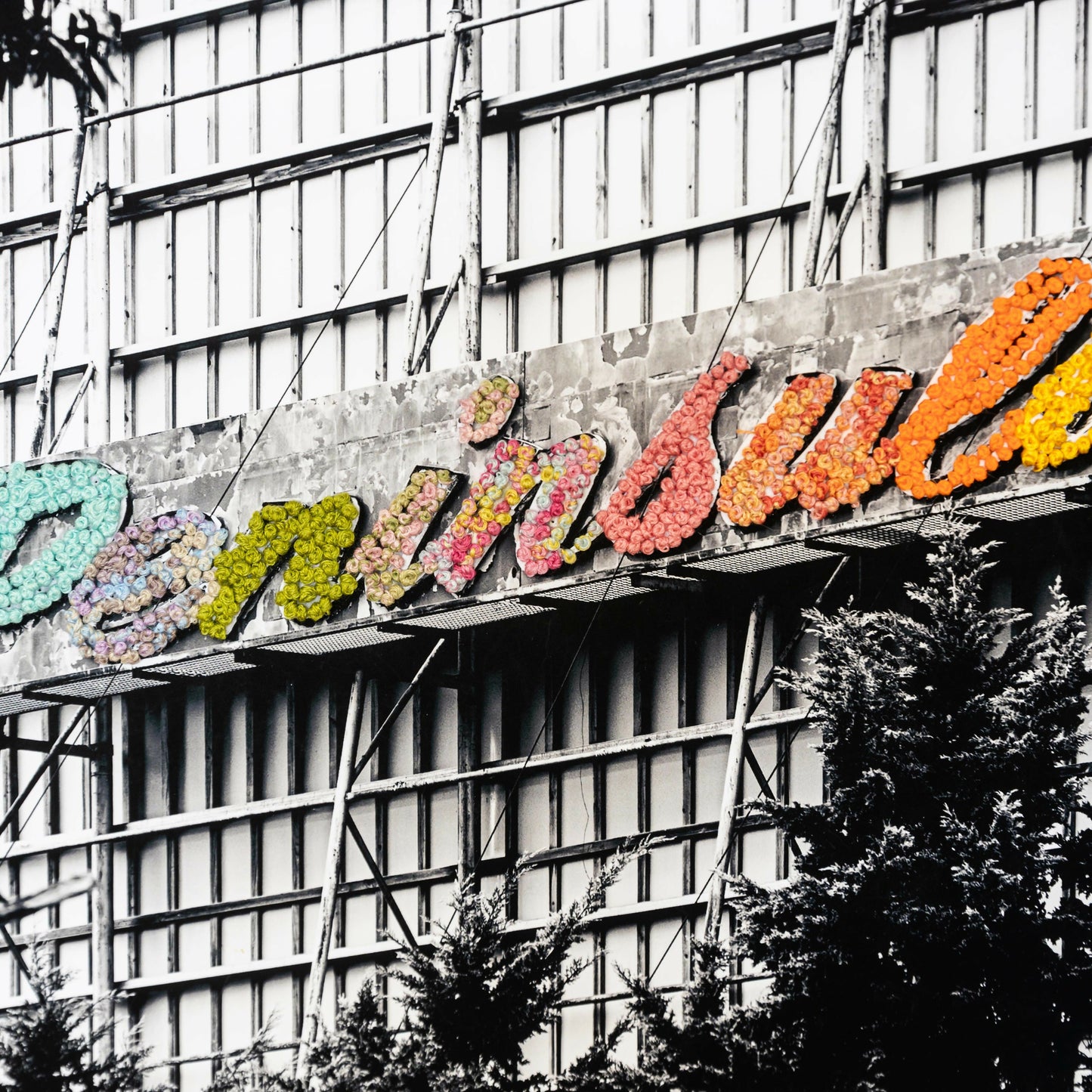 Drive-In Technicolour - A Reverie