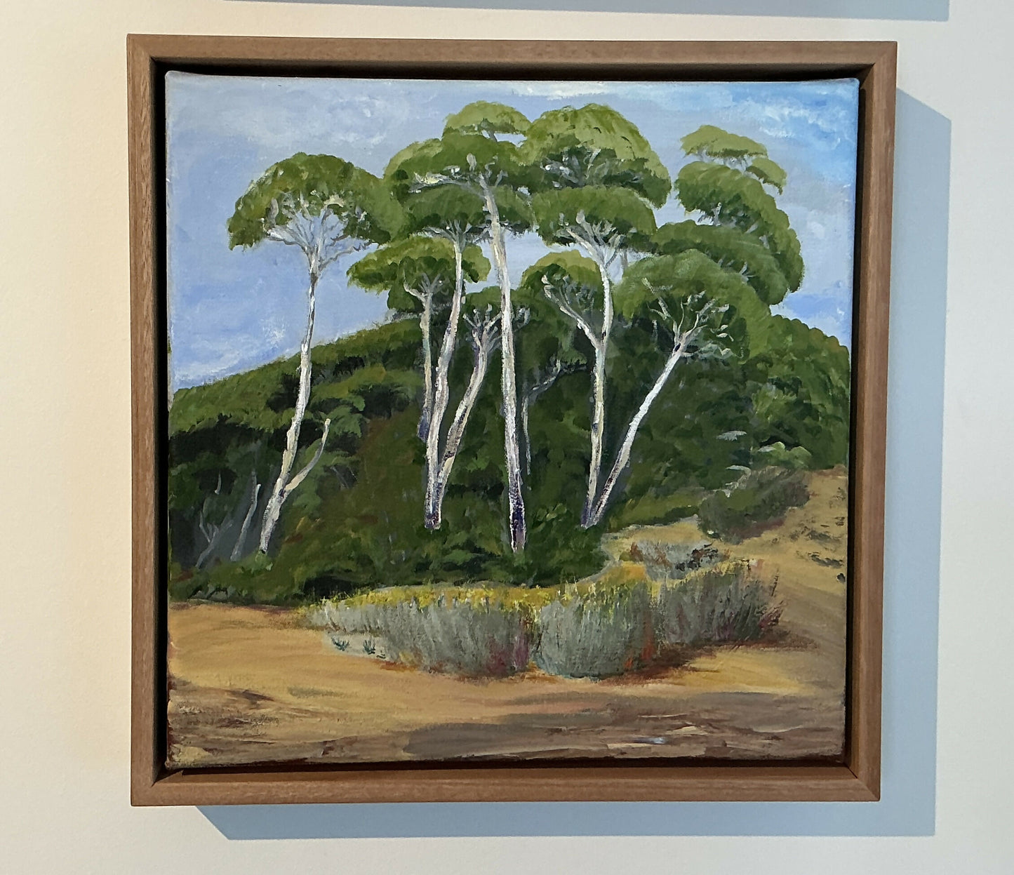 Tea tree on Dune