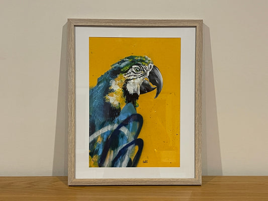 Sunshine Macaw Print - RRP $100
