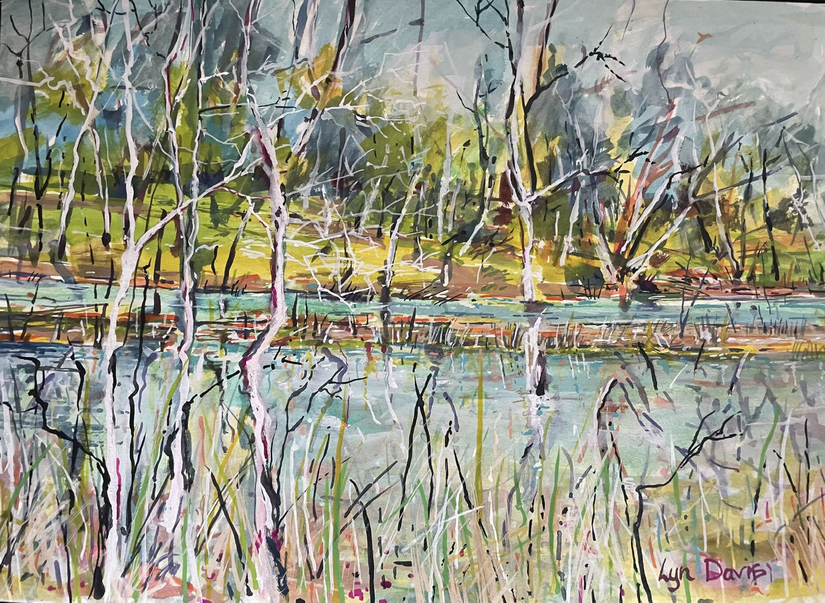 Wetlands WA