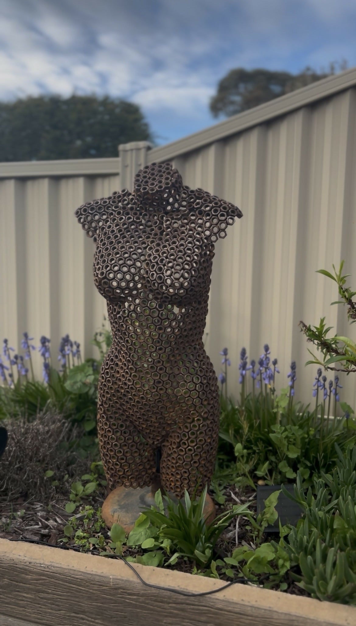 Female bust "Nut-Meg"