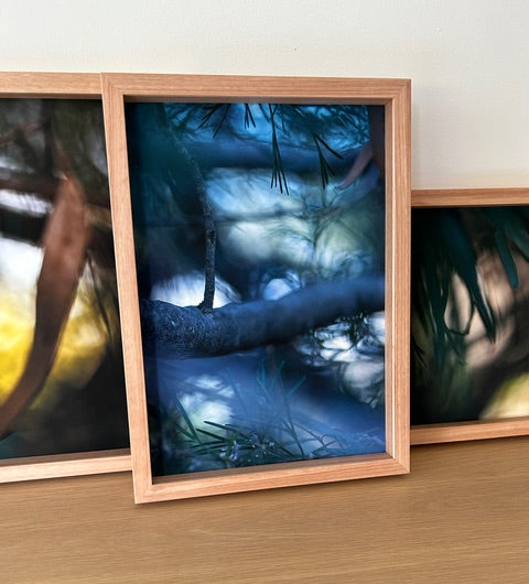 Bush Botanical Photo by Artist Nadia Sliwka Photographer - RRP $450