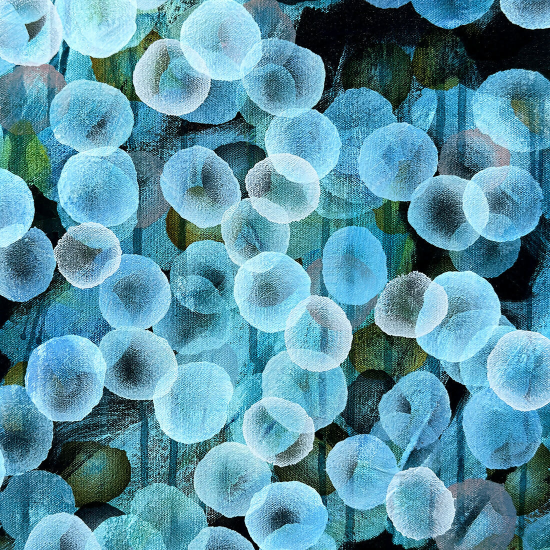 Bio Bloom Flow VI