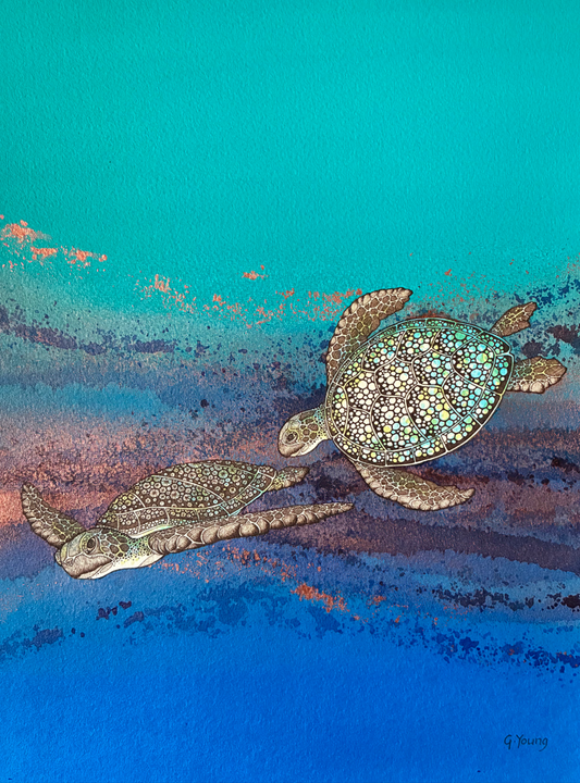 Feature Artist - Sea Turtle Dive