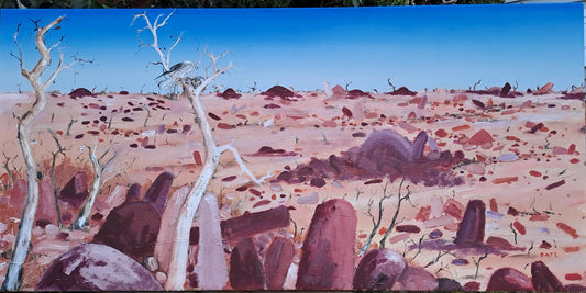 Sturt Stony Desert Pavement