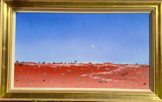 Simpson Desert Colours