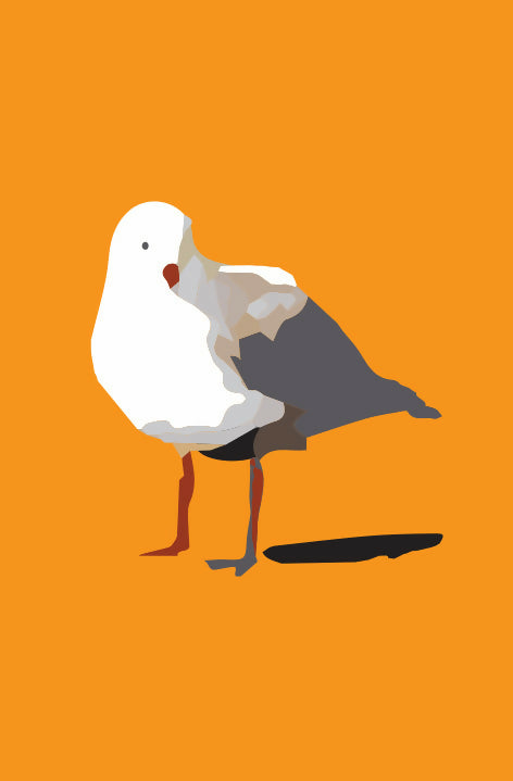 Seagull 3