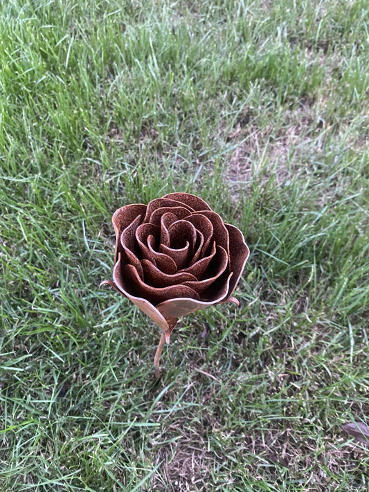 Rustic Roses