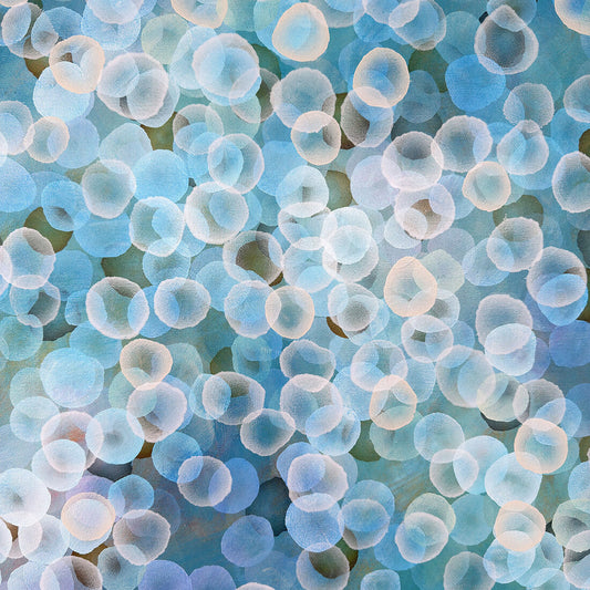 Aqueous Field VII