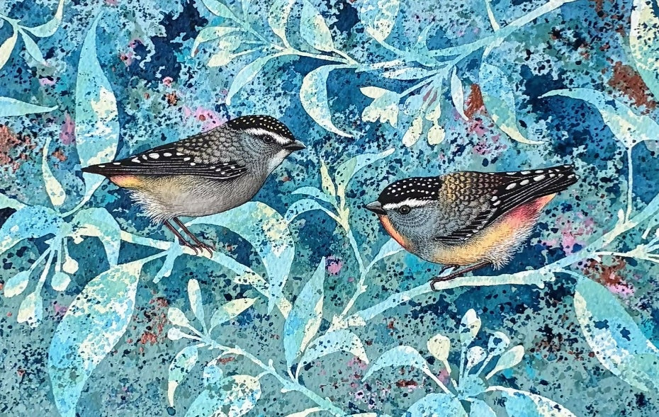 Pardalotes in the Orange Blossom