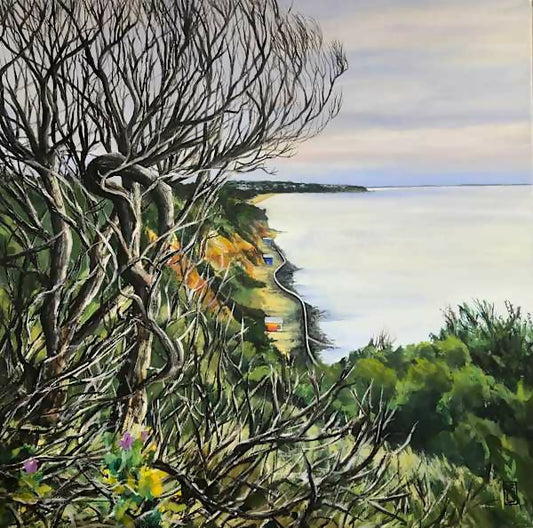 Evening Cliff Top Walks - Mount Martha