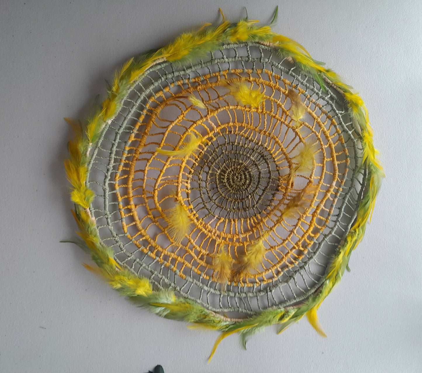 Spring wattle wall art