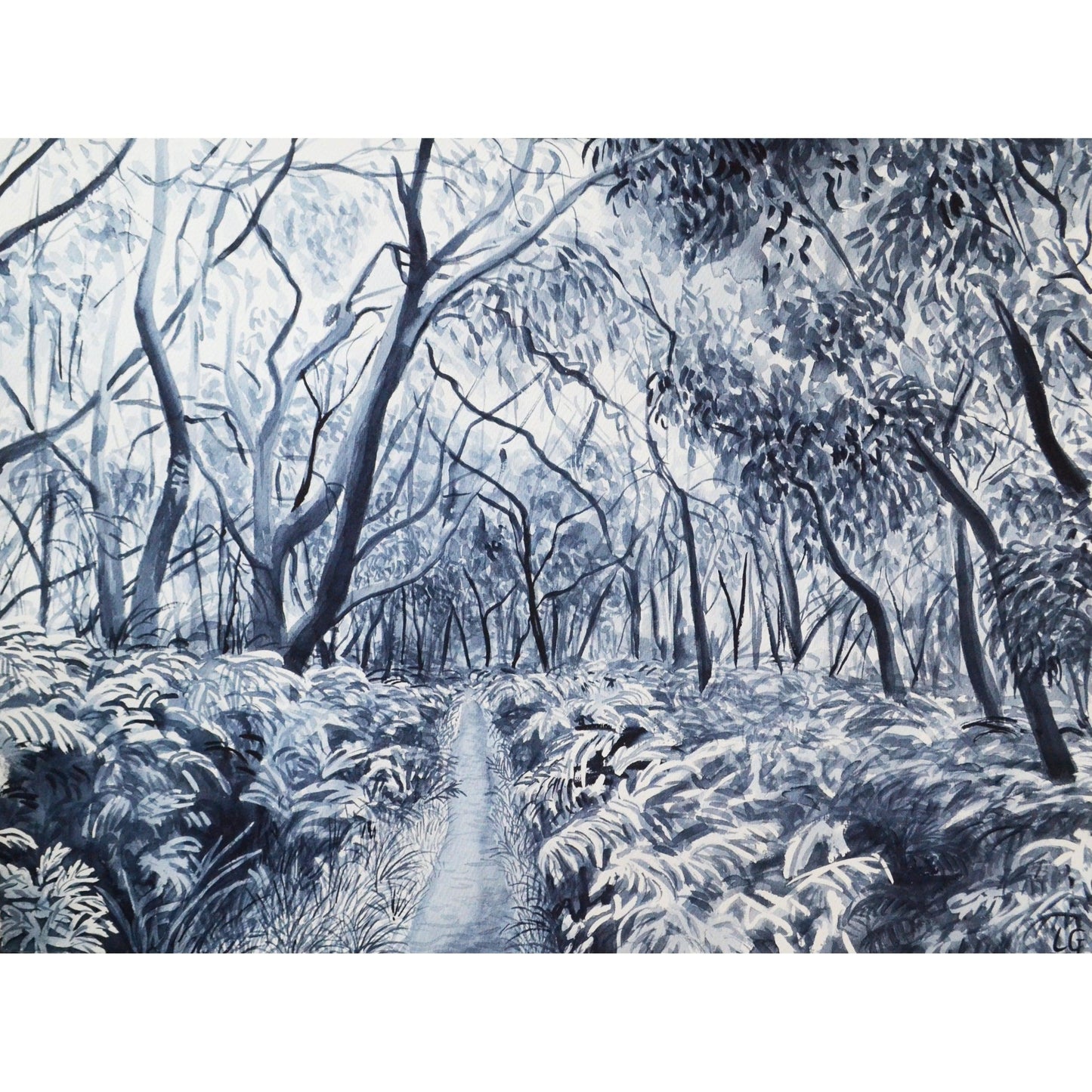 Trailing Through (Greens Bush)