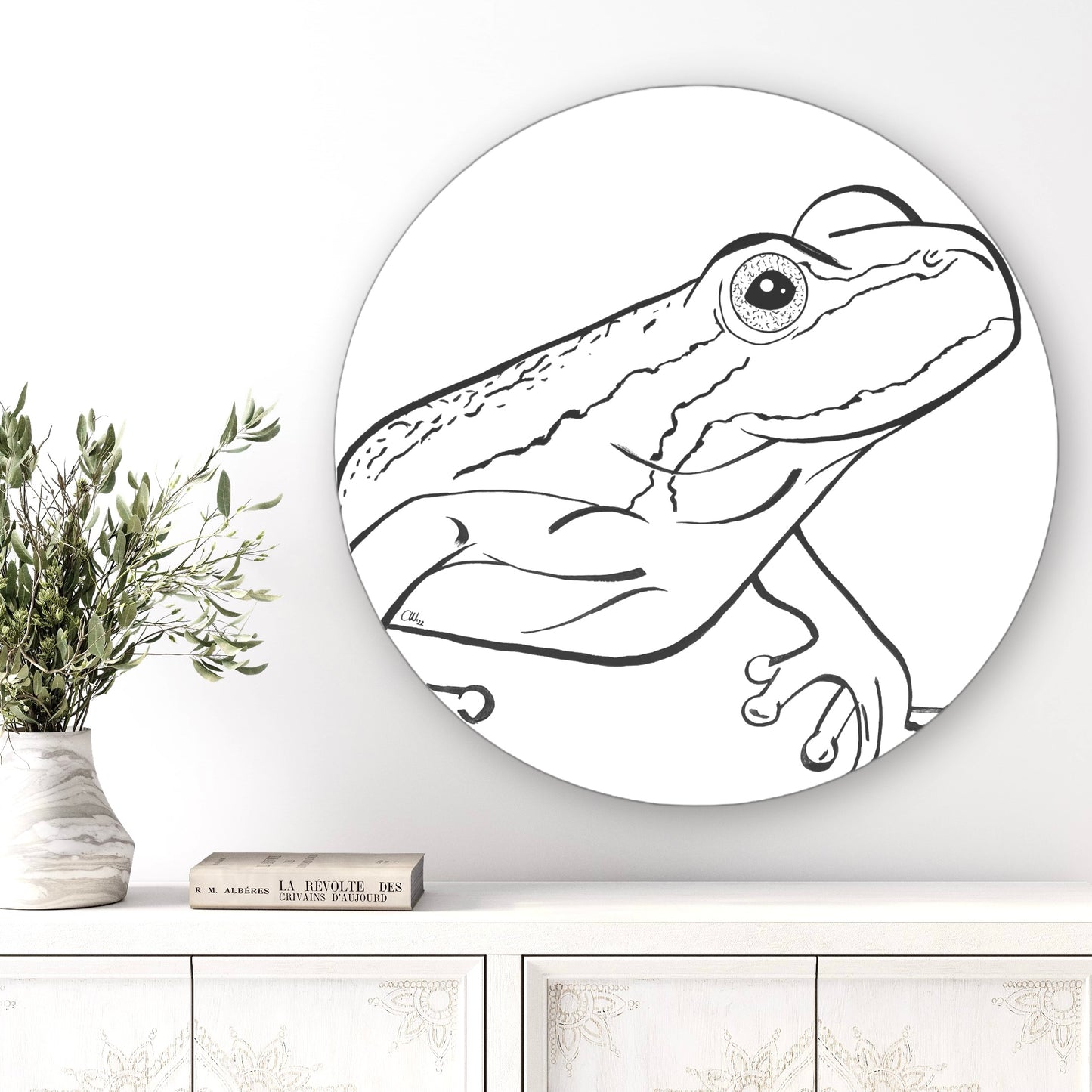 Southern Brown Tree Frog