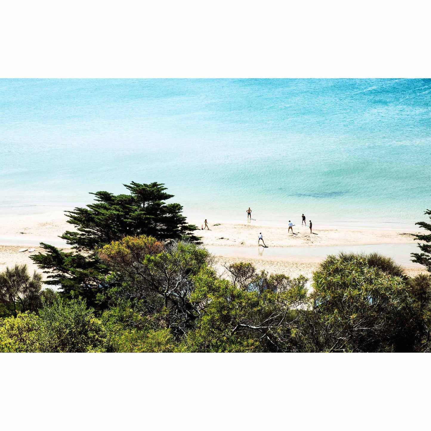 Beach Cricket - Mills Beach, Mornington 2022.