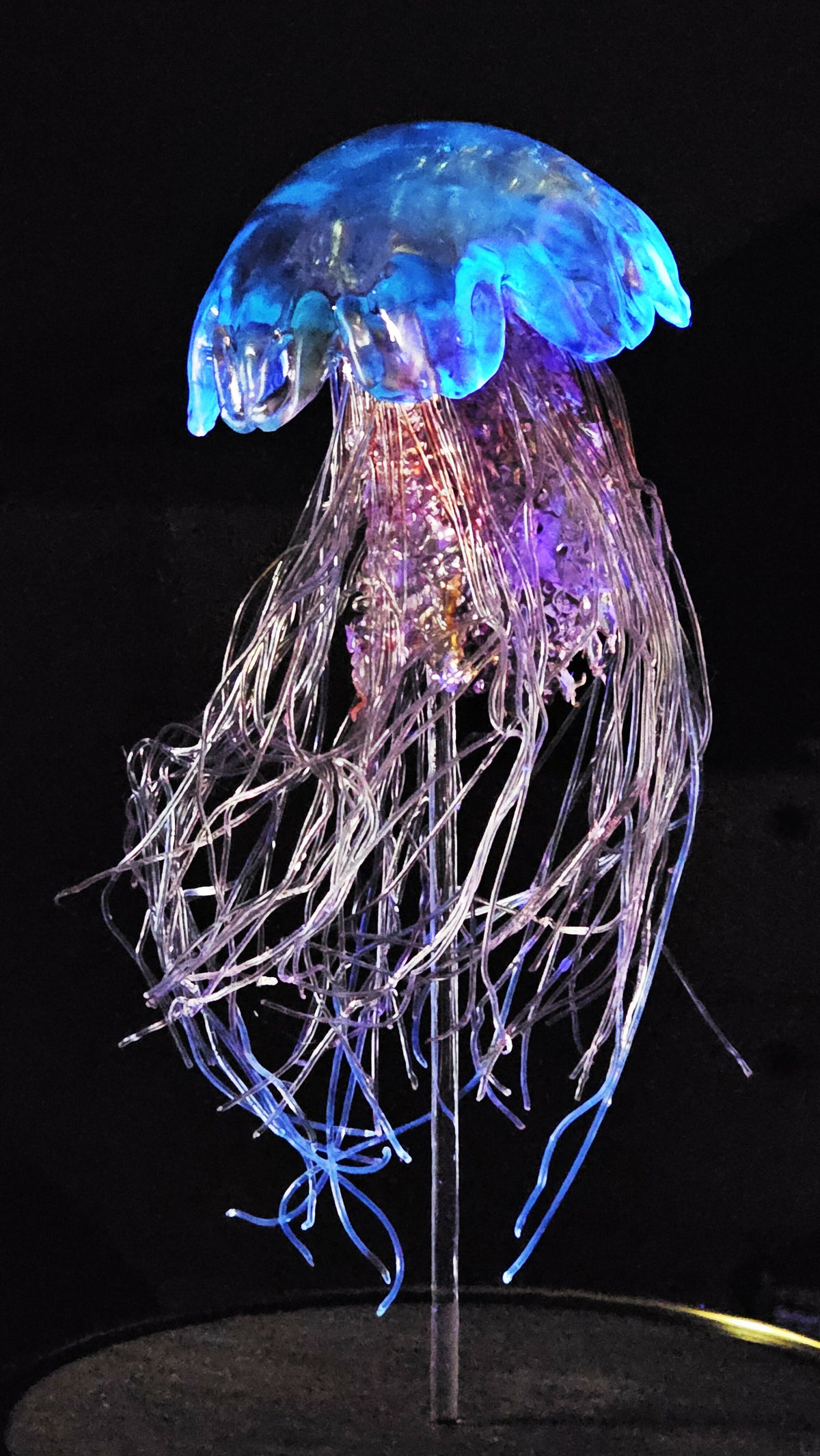 Irony Specimens: Lion's Mane Jellyfish, Edition 8/8