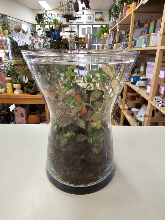Little Garden World Donated by Leafy Lovers - RRP $89