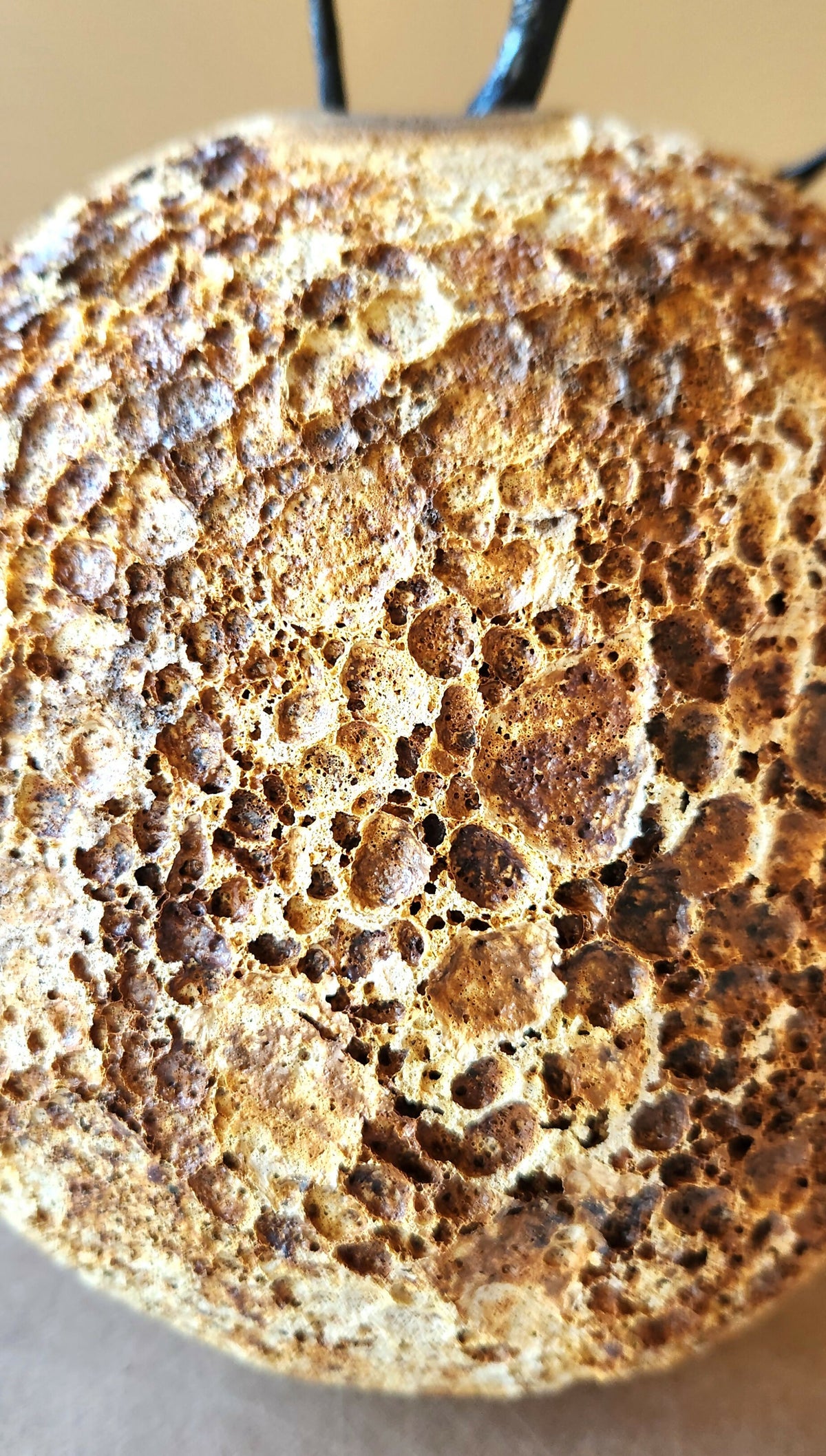 HONEYCOMB SHORES