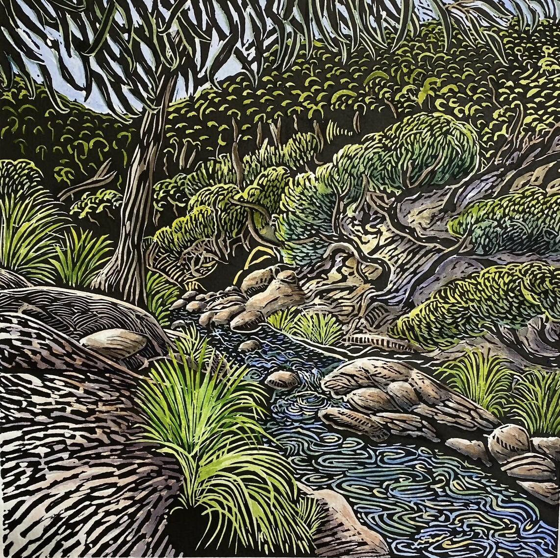 Rockpools, Sweetwater Creek