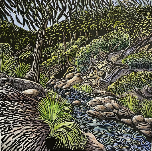 Rockpools, Sweetwater Creek