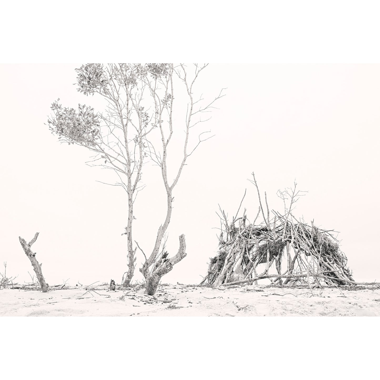 The Beach Shack on Bribie Island