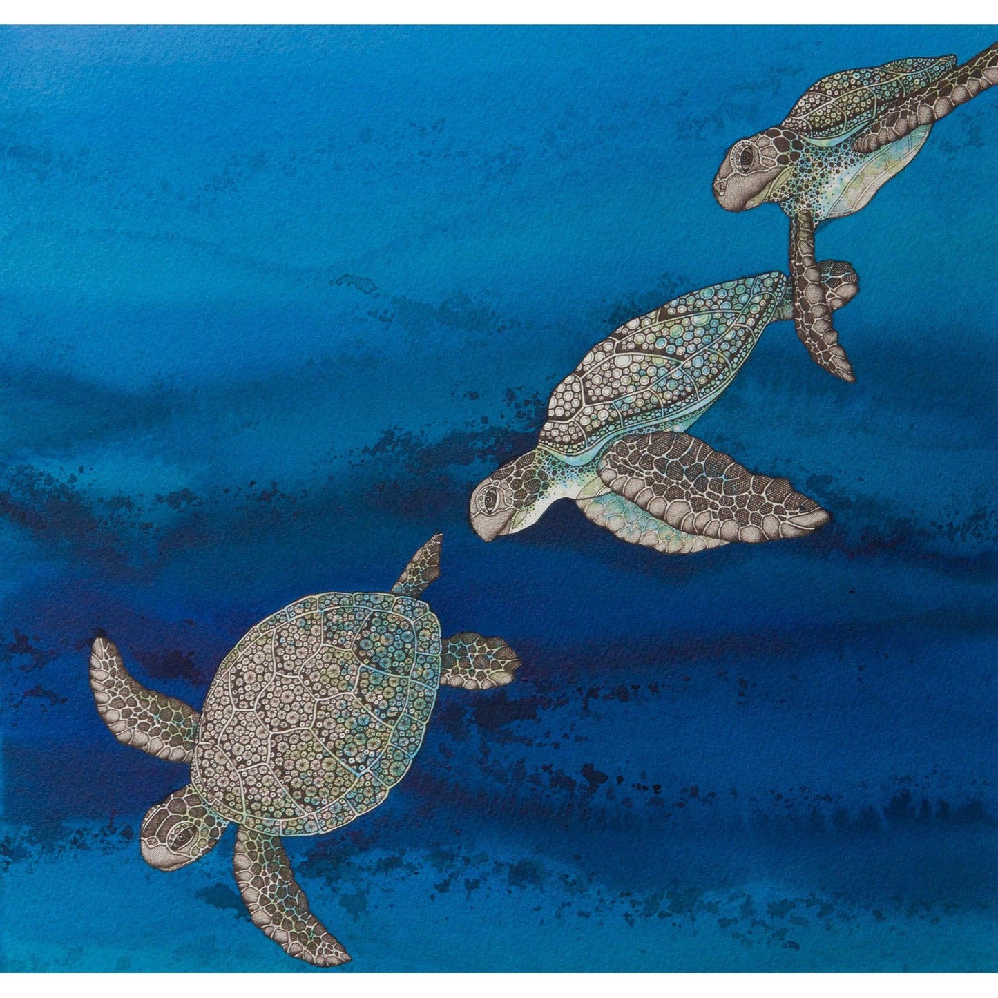 Sea Turtle Travels