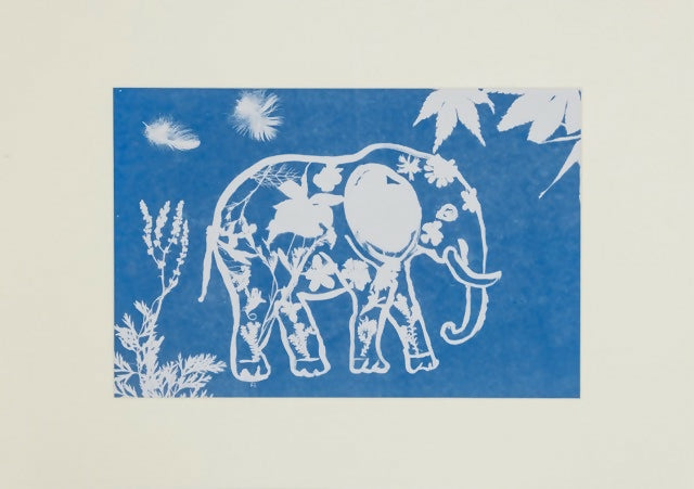 “Creatures of Sunlight” – Original Animal-Themed Cyanotype Artworks