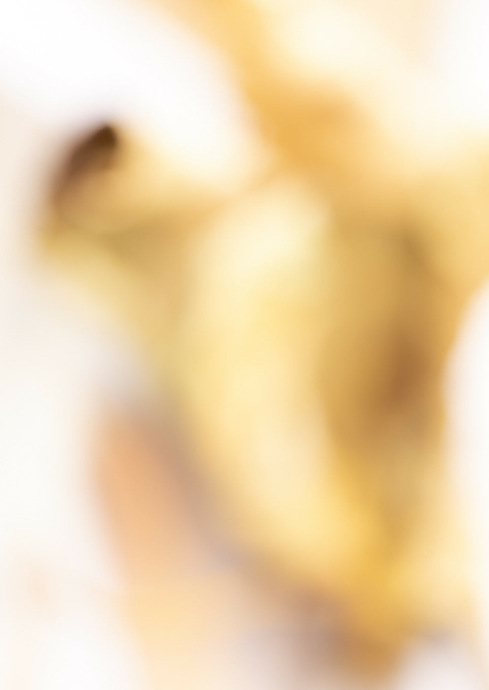 The Lightness of being a Leaf 05