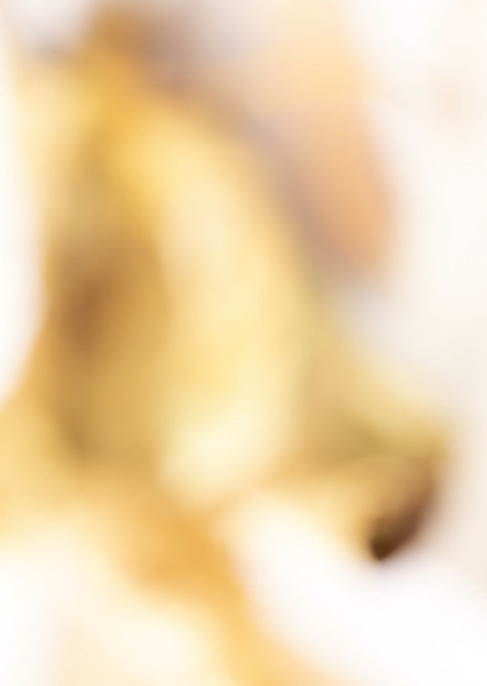 The Lightness of being a Leaf 05