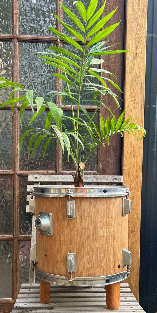 Rhythm Planter Pot 2