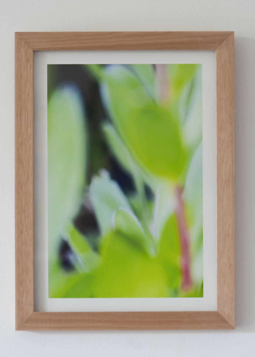 The lightness of being a leaf 09
