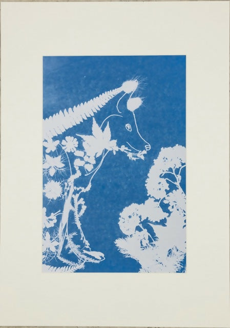 “Creatures of Sunlight” – Original Animal-Themed Cyanotype Artworks