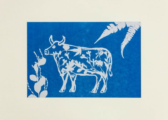 “Creatures of Sunlight” – Original Animal-Themed Cyanotype Artworks