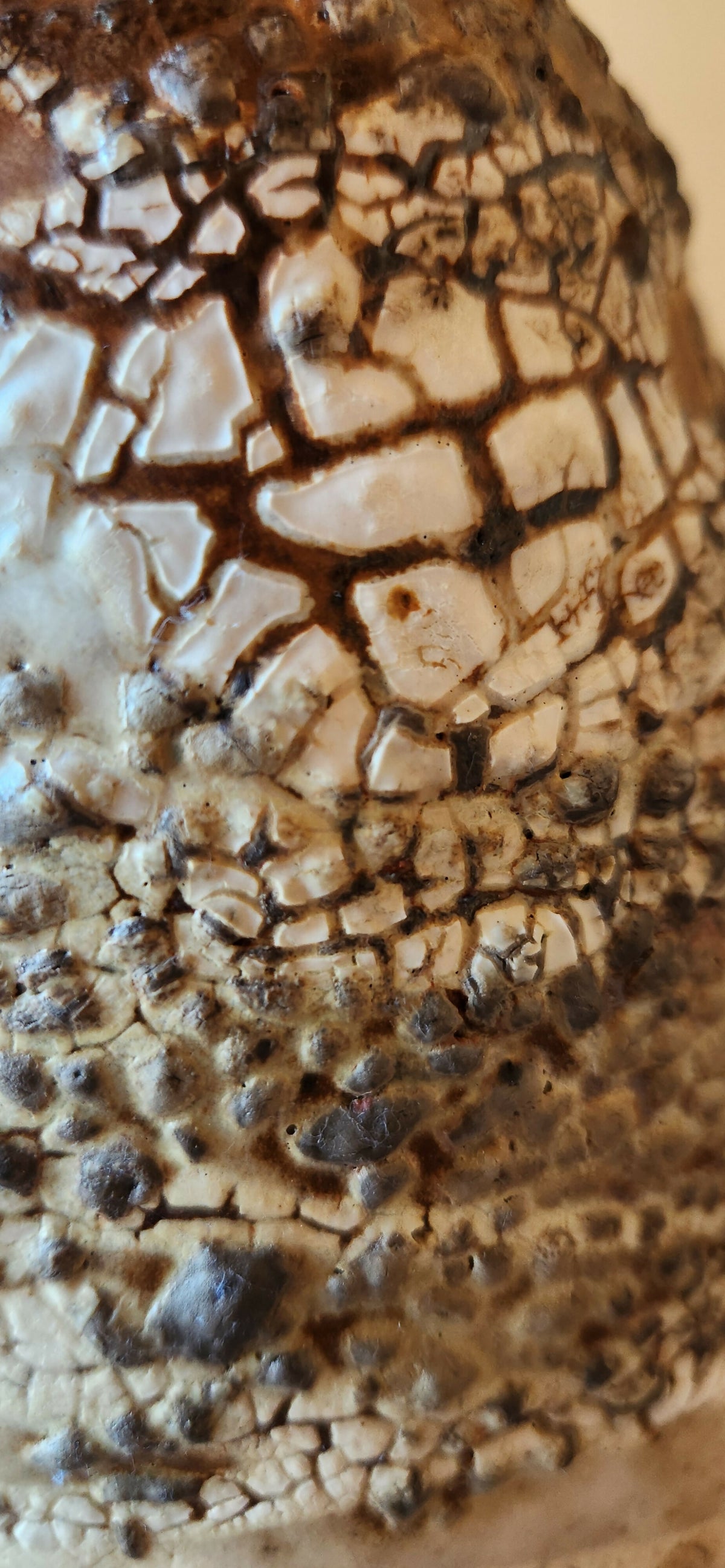 SCARAB URN