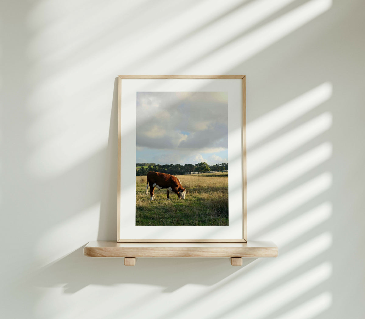 A3 Photography Print
