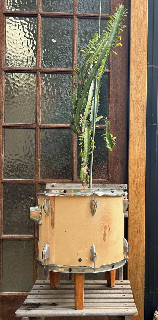 Rhythm Planter Pot 1
